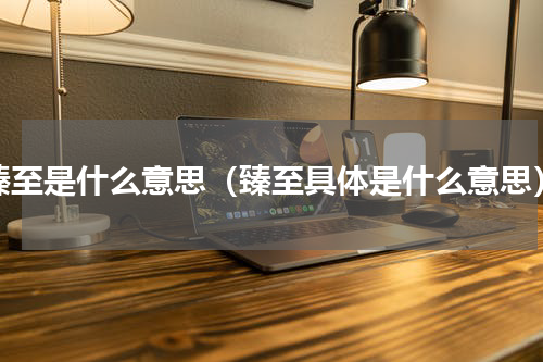 臻至是什么意思（臻至具体是什么意思）