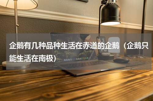 企鹅有几种品种生活在赤道的企鹅（企鹅只能生活在南极）