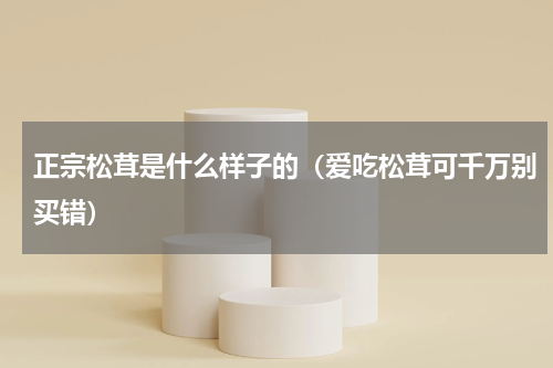 正宗松茸是什么样子的（爱吃松茸可千万别买错）