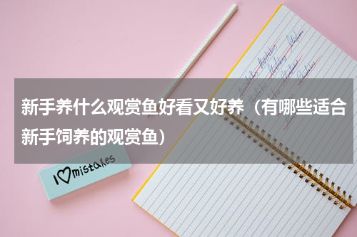 新手养什么观赏鱼好看又好养（有哪些适合新手饲养的观赏鱼）