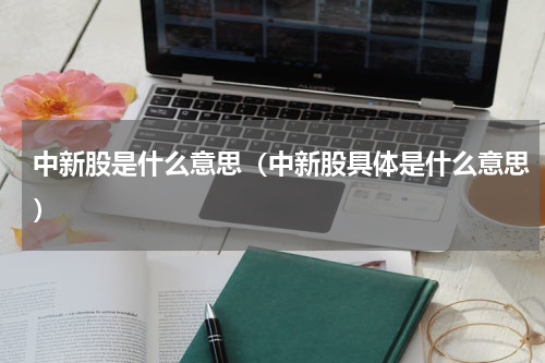 中新股是什么意思（中新股具体是什么意思）