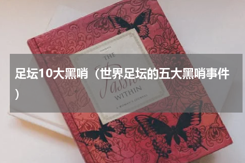 足坛10大黑哨（世界足坛的五大黑哨事件）