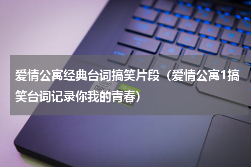 爱情公寓经典台词搞笑片段（爱情公寓1搞笑台词记录你我的青春）