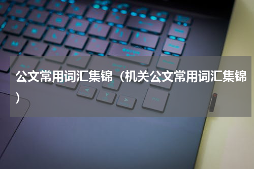 公文常用词汇集锦（机关公文常用词汇集锦）