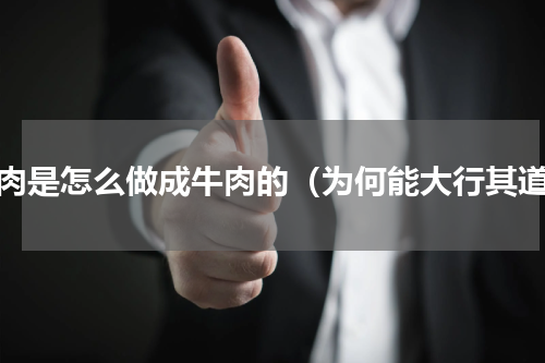 猪肉是怎么做成牛肉的（为何能大行其道）