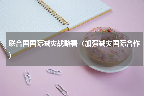 联合国国际减灾战略署（加强减灾国际合作）