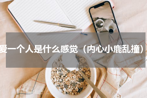 爱一个人是什么感觉（内心小鹿乱撞）
