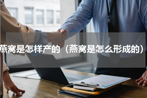燕窝是怎样产的（燕窝是怎么形成的）