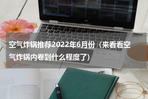 空气炸锅推荐2022年6月份（来看看空气炸锅内卷到什么程度了）
