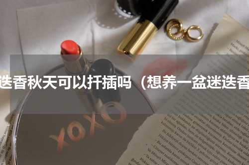 迷迭香秋天可以扦插吗（想养一盆迷迭香）