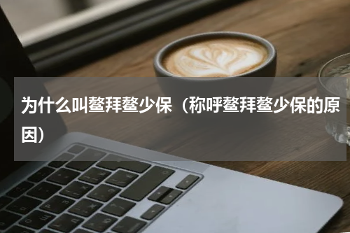 为什么叫鳌拜鳌少保（称呼鳌拜鳌少保的原因）