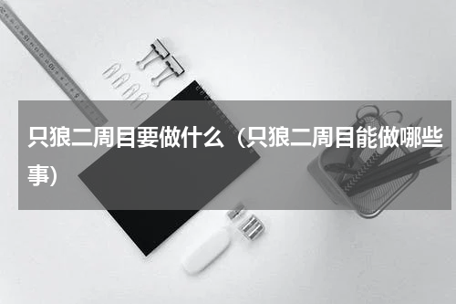 只狼二周目要做什么（只狼二周目能做哪些事）