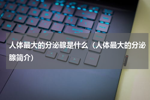 人体最大的分泌腺是什么（人体最大的分泌腺简介）