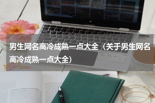 男生网名高冷成熟一点大全（关于男生网名高冷成熟一点大全）