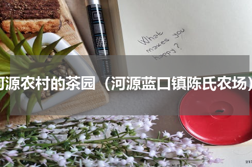 河源农村的茶园（河源蓝口镇陈氏农场）