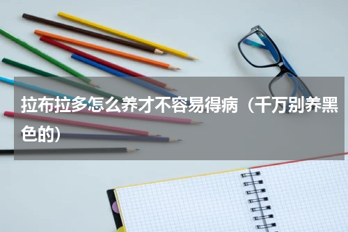拉布拉多怎么养才不容易得病（千万别养黑色的）