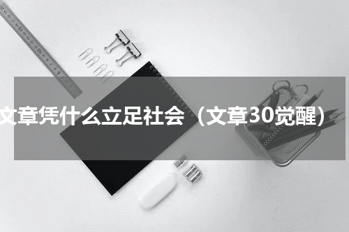 文章凭什么立足社会（文章30觉醒）