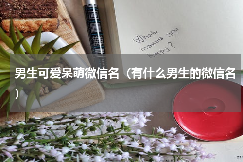 男生可爱呆萌微信名（有什么男生的微信名）