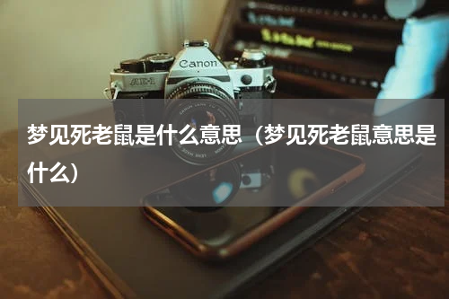 梦见死老鼠是什么意思（梦见死老鼠意思是什么）