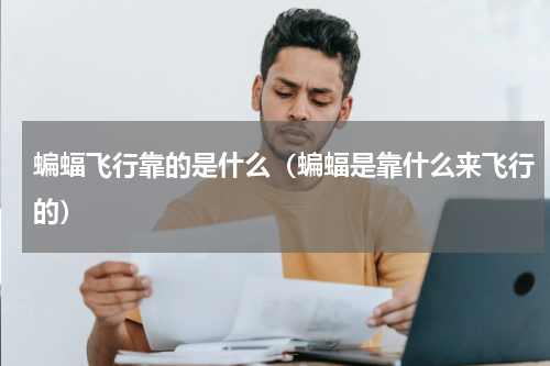 蝙蝠飞行靠的是什么（蝙蝠是靠什么来飞行的）