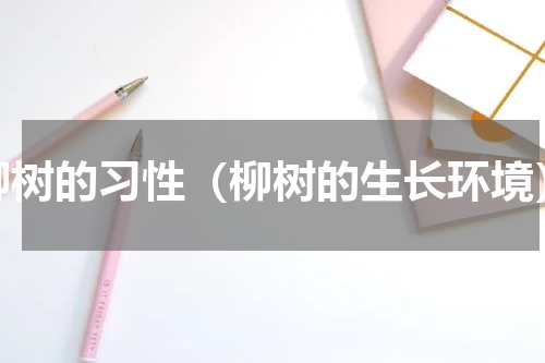 柳树的习性（柳树的生长环境）