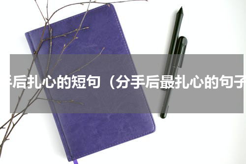 分手后扎心的短句（分手后最扎心的句子）