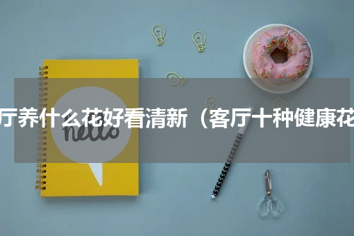客厅养什么花好看清新（客厅十种健康花）