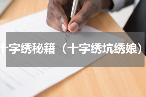十字绣秘籍（十字绣坑绣娘）