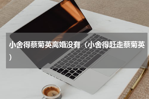 小舍得蔡菊英离婚没有（小舍得赶走蔡菊英）