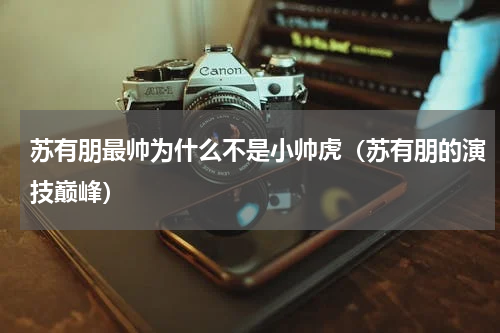 苏有朋最帅为什么不是小帅虎（苏有朋的演技巅峰）