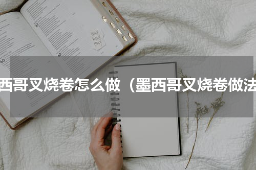 墨西哥叉烧卷怎么做（墨西哥叉烧卷做法）