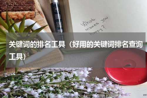 关键词的排名工具（好用的关键词排名查询工具）