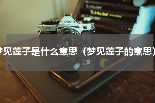 梦见莲子是什么意思（梦见莲子的意思）