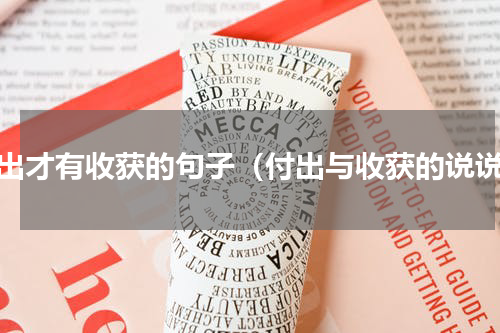 付出才有收获的句子（付出与收获的说说）