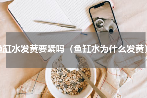 鱼缸水发黄要紧吗（鱼缸水为什么发黄）