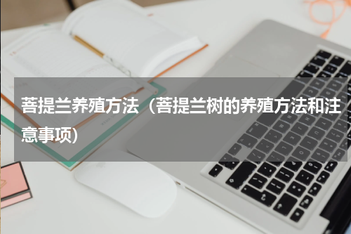 菩提兰养殖方法（菩提兰树的养殖方法和注意事项）