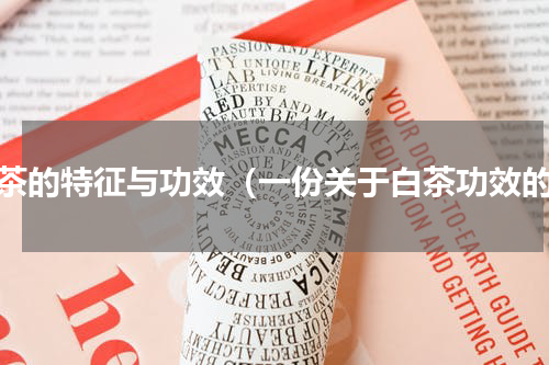 白茶的特征与功效（一份关于白茶功效的）