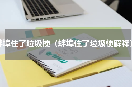 蚌埠住了垃圾梗（蚌埠住了垃圾梗解释）