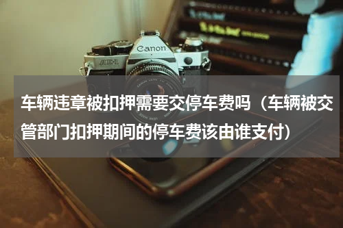 车辆违章被扣押需要交停车费吗（车辆被交管部门扣押期间的停车费该由谁支付）