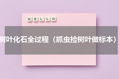 树叶化石全过程（抓虫捡树叶做标本）