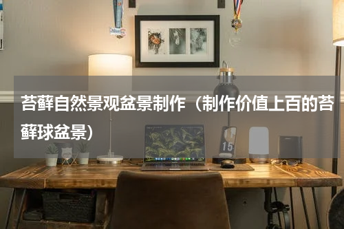 苔藓自然景观盆景制作（制作价值上百的苔藓球盆景）