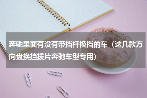 奔驰里面有没有带挡杆换挡的车（这几款方向盘换挡拨片奔驰车型专用）