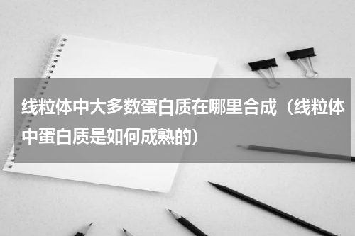线粒体中大多数蛋白质在哪里合成（线粒体中蛋白质是如何成熟的）