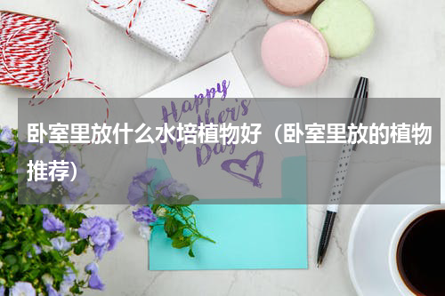 卧室里放什么水培植物好（卧室里放的植物推荐）