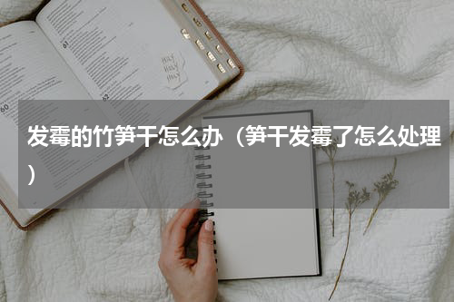 发霉的竹笋干怎么办（笋干发霉了怎么处理）