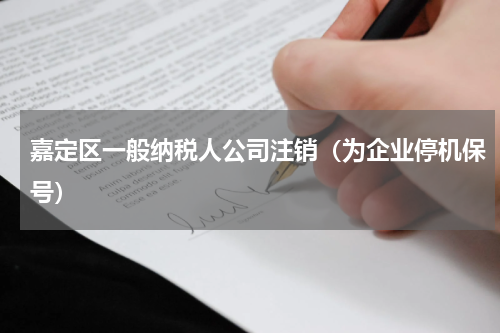 嘉定区一般纳税人公司注销（为企业停机保号）
