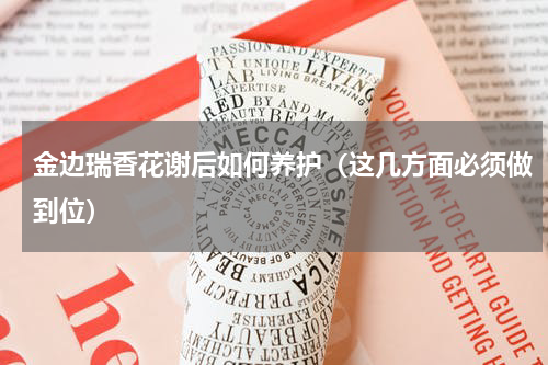金边瑞香花谢后如何养护（这几方面必须做到位）