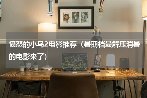愤怒的小鸟2电影推荐（暑期档最解压消暑的电影来了）