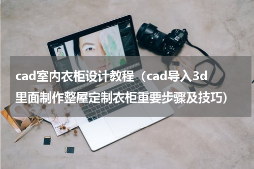 cad室内衣柜设计教程（cad导入3d里面制作整屋定制衣柜重要步骤及技巧）