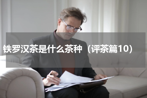 铁罗汉茶是什么茶种（评茶篇10）